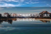 揭秘“微乐陕西麻将真有挂吗”(真实可以装挂)知乎