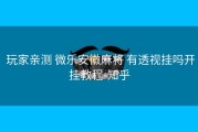  玩家亲测 微乐安徽麻将 有透视挂吗开挂教程-知乎
