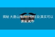  揭秘 大唐山西麻将 有挂没(真实可以装挂)知乎