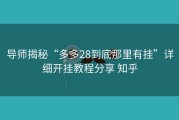 导师揭秘“多多28到底那里有挂”详细开挂教程分享 知乎