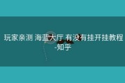  玩家亲测 海蓝大厅 有没有挂开挂教程-知乎