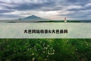 大邑网站收录&amp;大邑县网