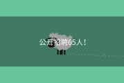 公开招聘65人！