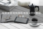  玩家亲测 哈狗游戏 有挂没开挂教程-知乎
