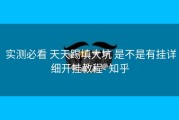  实测必看 天天踢填大坑 是不是有挂详细开挂教程- 知乎