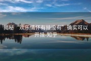 揭秘“欢乐情怀有挂没有”确实可以开挂-知乎