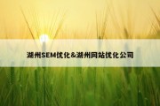 湖州SEM优化&amp;湖州网站优化公司