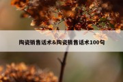 陶瓷销售话术&amp;陶瓷销售话术100句