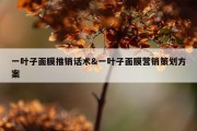 一叶子面膜推销话术&amp;一叶子面膜营销策划方案