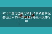 2025年嘉定区徐行镇和华亭镇春季促进就业专项行动网上招聘会火热进行中