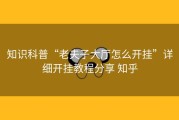 知识科普“老夫子大厅怎么开挂”详细开挂教程分享 知乎