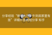 分享经验“微信大厅牛牛到底那里有挂”详细开挂教程分享 知乎