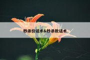 秒杀价话术&amp;秒杀款话术