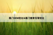 厦门SEM优化&amp;厦门搜索引擎优化