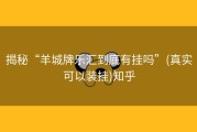 揭秘“羊城牌乐汇到底有挂吗”(真实可以装挂)知乎