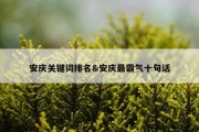 安庆关键词排名&amp;安庆最霸气十句话