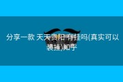  分享一款 天天贵阳 有挂吗(真实可以装挂)知乎