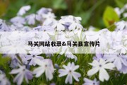 马关网站收录&amp;马关县宣传片