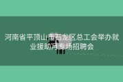 河南省平顶山市石龙区总工会举办就业援助月专场招聘会