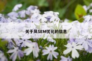 关于凤SEM优化的信息