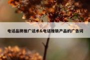 电话品牌推广话术&amp;电话推销产品的广告词