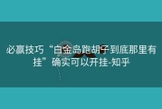 必赢技巧“白金岛跑胡子到底那里有挂”确实可以开挂-知乎
