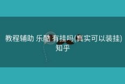 教程辅助 乐酷 有挂吗(真实可以装挂)知乎