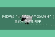 分享经验“白金岛跑胡子怎么装挂”(真实可以装挂)知乎