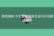  教程辅助 中至宜春 究竟有挂吗开挂教程-知乎