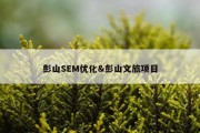 彭山SEM优化&amp;彭山文旅项目