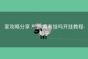  家攻略分享 东游 真有挂吗开挂教程-知乎