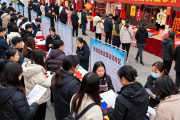 辰溪县2025年招聘会：年货展销会现场开启就业与消费融合之旅