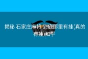  揭秘 石家庄麻将 到底那里有挂(真的有挂)知乎