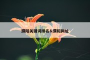 濮阳关键词排名&amp;濮阳网址