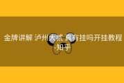 金牌讲解 泸州大贰 真有挂吗开挂教程-知乎