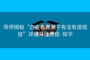 导师揭秘“白金岛跑胡子有没有透视挂”详细开挂教程- 知乎