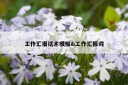工作汇报话术模板&amp;工作汇报词