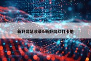新野网站收录&amp;新野网红打卡地