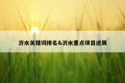沂水关键词排名&amp;沂水重点项目进展