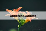 大数据拓客话术&amp;大数据销售