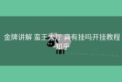  金牌讲解 蛮王大厅 真有挂吗开挂教程-知乎