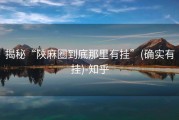 揭秘“陕麻圈到底那里有挂”(确实有挂)-知乎