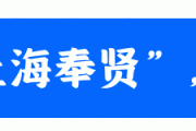 逐梦南桥职引未来！奉贤区南桥镇招聘会现场超火爆