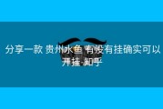  分享一款 贵州水鱼 有没有挂确实可以开挂-知乎