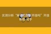 实测分析“麻将匹配能开挂吗”开挂教程-知乎