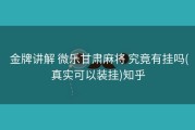  金牌讲解 微乐甘肃麻将 究竟有挂吗(真实可以装挂)知乎