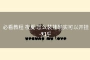  必看教程 夜夏 怎么装挂确实可以开挂-知乎