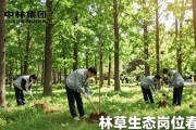 央企中林集团2026春招 林草生态岗位