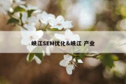 峡江SEM优化&amp;峡江 产业