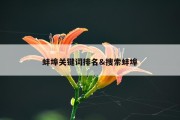 蚌埠关键词排名&amp;搜索蚌埠